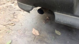 Белый дым с выхлопной нексия