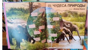 "До чего же интересно всё на свете знать" библиотечный час