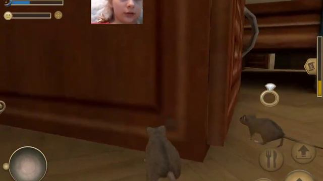 Симулятор мыши- Жизнь мыши  это не легкое дело!