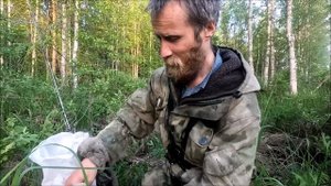 Окуни и комары озверели, рыбалка с ночёвкой ЧАСТЬ 1