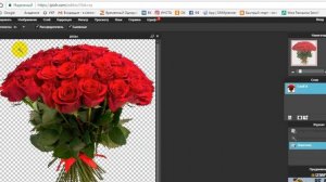 Как сделать белый фон картинки прозрачным (PNG) - Т. Лемешко