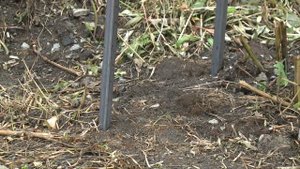 Установка скамеек у подъездов в Кировске