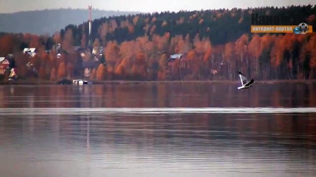 Зарыбление Исетского водохранилища-2017