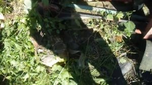 ОБЗОР ТРАКТОРНОЙ КОСИЛКИ ДЛЯ Т-25