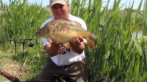 ЛОВЛЯ НА ФЛЭТ МЕТОД.. РАБОЧИЕ ПРИКОРМКИ И НАСАДКИ KINKI/ АКТИВНЫЙ КЛЕВ КАРПА..