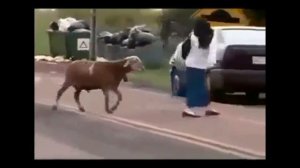 ТОП ГИФ (23 февраля)