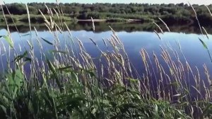 Футажи природы..mp4