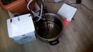 Автополив на Arduino - Automatic plant watering on Arduino