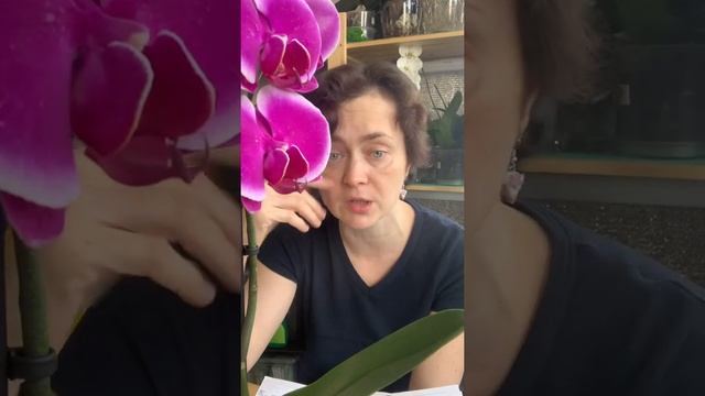 Вопрос- ответ