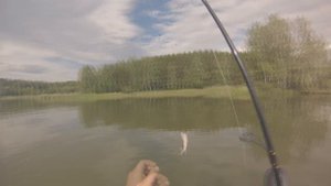 Рыбалка в Сибири #25. Ловим окуня на Обском водохранилище в Шарапе.