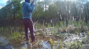 Голавль на корку хлеба весной. ЛОВЛЯ ГОЛАВЛЯ НА КОРКУ ХЛЕБА.