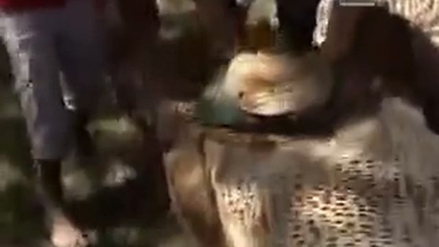 Путешествие в Эфиопию с Михаилом Кожуховым - 3 часть.