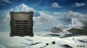 А ведь я не играл... Pillars of Eternity