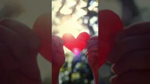 А.студио Я не могу без тебя