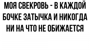 Моя свекровь, как в каждой бочке затычка