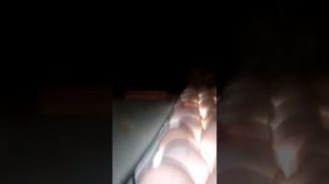 Как просветить яйца