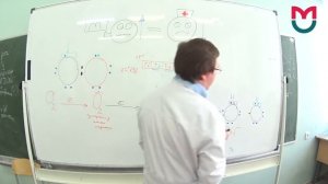 Окислительный стресс 1 (подробно)