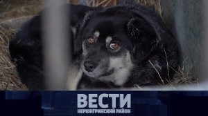 Выпуск новостей от 17.12.2022: Парта героя, растёт заболеваемость, ЦРТДиЮ - 45 лет