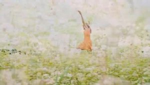 Эльдар Рязанов и Эмма Абайдуллина - Хочется легкого(OST Карнавальная ночь 2)