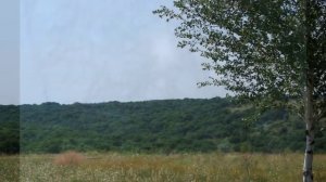 Станица Кумылженская