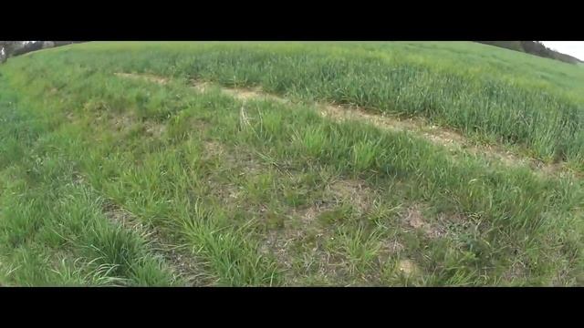 Уборка мусора ( Челендж чистая страна) смотреть онлайн