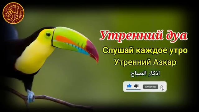 утренний дуа. Благословение дома смотреть онлайн