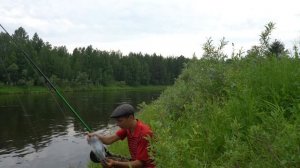 Рыбалка на ельца на таёжной реке. КРУПНЫЙ ЕЛЕЦ.
