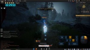Гайд для новичка №2 в Black Desert 2020