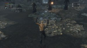 Новый глич (2022). Заморозка ИИ и легкое убийство босса "Тени Ярнама" в Bloodborne