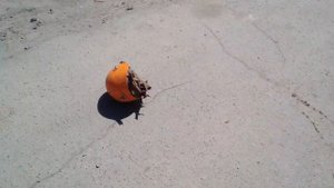 Тест советского шлема. Crash test of the helmet. Краш тест шлема