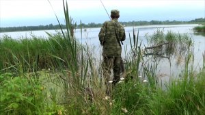 Новая снасть для ловли линя и её проба применения, 31 серия