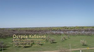 Остров Кабаний. Весна. Нижняя Волга. Астраханская область. База Волжская.