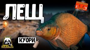 РР4/ рыбалка для души, ловим как универсал, общаемся 21.11.23
