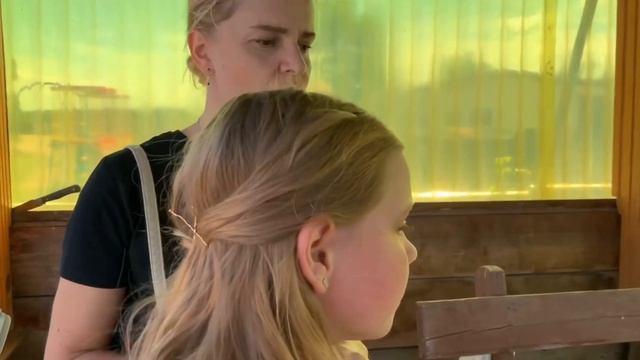 Мне подарили лошадь ??? смотреть онлайн