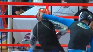 Первенство России по смешанному боевому единоборству