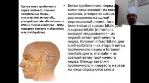Вебинар "Хирургическая анатомия лицевого отдела черепа"