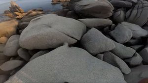 Дальний Восток / Находка, бухта Большая Ежовая