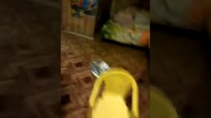 Сосет