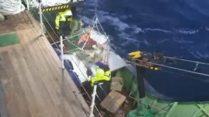 Выборка порядка краболов. Татарский пролив