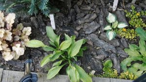 Поговорим о хостах.Часть третья\2\