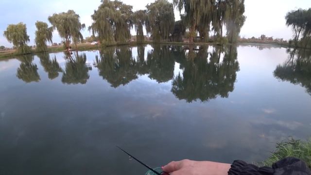 Ловля форели на спиннинг смотреть онлайн