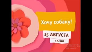 Редкий очень анонс карусель ХОЧУ СОБАКУ