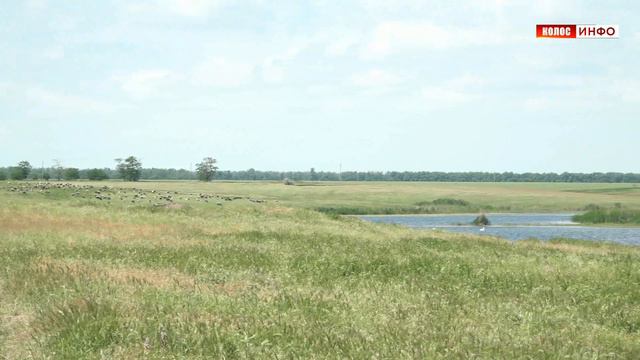 Из Жуковского в Песчанокопское. Река Рассыпная смотреть онлайн