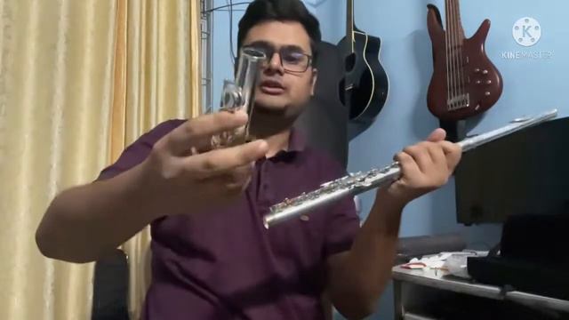 Havana M1115S flute review #valueformoney #beginners #best #beauty #steel