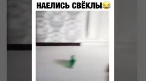 deti-naelis-svekli-prikol_(videomega.ru)