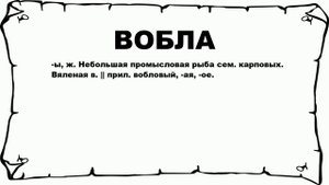 ВОБЛА - что это такое? значение и описание