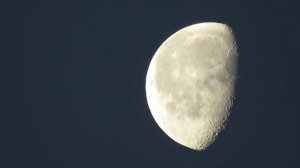 The moon in january