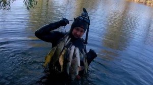 ПОДВОДНАЯ ОХОТА на крупного язя на малых реках с арбалетом, тактика и что необходима знать