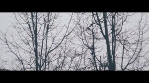 Test Helios 44m-4 + panasonic g80 (Гелиос 44м-4)