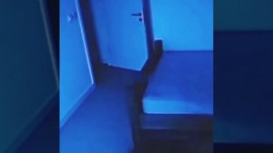 Часто полтергейсты не дают спокойно жить людям, у которых они поселили